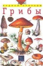  - Грибы. Учебное пособие для школьников младших и средних классов