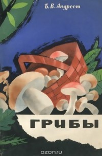 Борис Андрест - Грибы