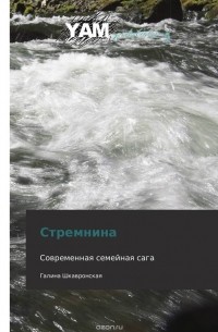 Михаил Бубеннов - Стремнина