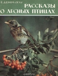 Елена Дерим-Оглу - Рассказы о лесных птицах