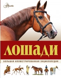 Джейн Холдернесс-Роддам - Лошади. Большая иллюстрированная энциклопедия