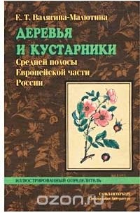 Деревья и кустарники Средней полосы Европейской части России