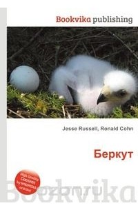 Беркут