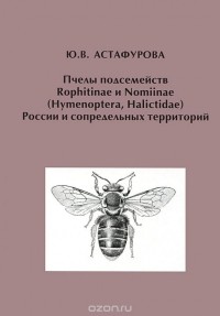 Юлия Астафурова - Пчелы подсемейств Rophitinae и Nomiinae (Hymenoptera, Halictidae) России и сопредельных территорий