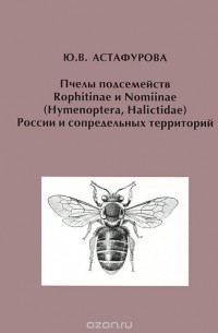 Пчелы подсемейств Rophitinae и Nomiinae (Hymenoptera, Halictidae) России и сопредельных территорий