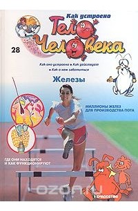 Как устроено тело человека. Выпуск 28. Железы