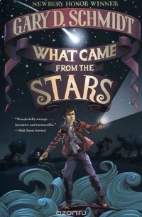 Gary D. Schmidt - What Came from the Stars