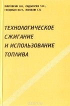  - Технологическое сжигание и использование топлива