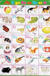 Alphabet / Алфавит. Плакат