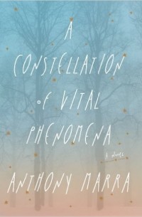 Энтони Марра - A Constellation Of Vital Phenomena