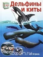 Петра Даймер - Дельфины и киты
