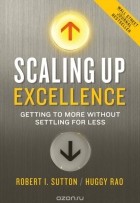  - Scaling up Excellence
