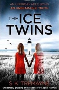 S. K. Tremayne - The Ice Twins