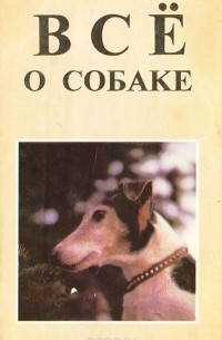 Все о собаке