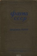 Фауна СССР. Млекопитающие. Определитель грызунов