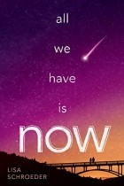 Лиза Шредер - All We Have Is Now