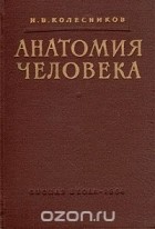 Николай Колесников - Анатомия человека