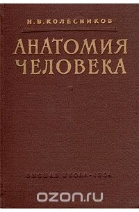 Николай Колесников - Анатомия человека