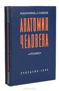 Атлас Анатомии Человека Курепина Воккен Купить