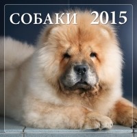 Онищенко Н. - Собаки 2015