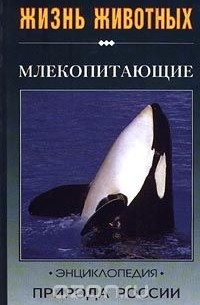 Игорь Павлинов - Млекопитающие. Часть 2