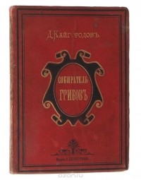 Дмитрий Кайгородов - Собиратель грибов