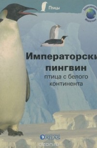 Императорский пингвин. Птица с белого континента