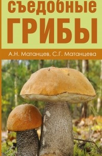  - Самые распространенные съедобные грибы