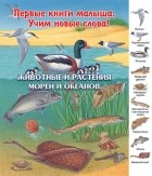без автора - Животные и растения морей и океанов