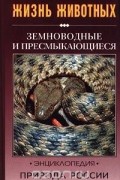 Земноводные и пресмыкающиеся