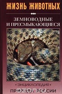 Земноводные и пресмыкающиеся