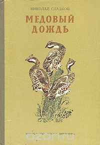 Николай Сладков - Медовый дождь