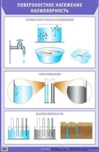 Поверхностное натяжение смачивание. Поверхностное натяжение жидкости и капиллярность. Поверхностное натяжение и капиллярные эффекты. Поверхностное натяжение смачивание и капиллярность. Поверхностное натяжение смачивание капиллярные явления.