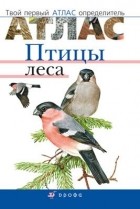  - Птицы леса. Твой первый атлас-определитель.