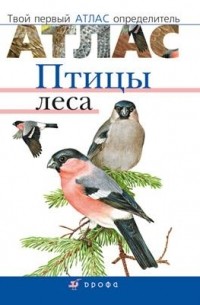  - Птицы леса. Твой первый атлас-определитель.