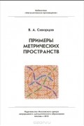 Валентин Скворцов - Примеры метрических пространств