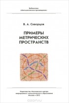 Валентин Скворцов - Примеры метрических пространств