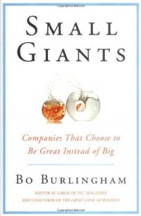Бо Бёрлингем - Small Giants: Companies That Choose to Be Great Instead of Big