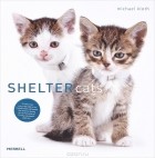 Michael Kloth - Shelter Cats