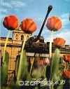  - Revue fotografie 85. Номер 1