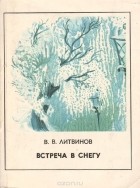 Владимир Литвинов - Встреча в снегу