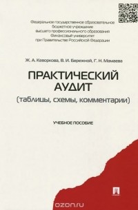  - Практический аудит. Таблицы. Схемы. Комментарии. Учебное пособие