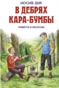 В дебрях Кара-Бумбы