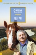Анатолий Калинин - Цыган