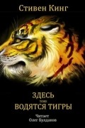 Здесь тоже водятся тигры