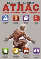 Рудольф Самусев - Атлас анатомии человека