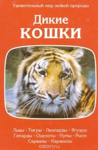  - Дикие кошки