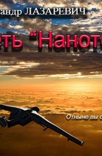 Александр Лазаревич - Сеть "Нанотех"