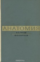  - Анатомия