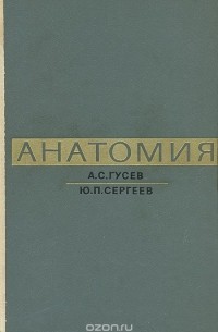 Анатомия